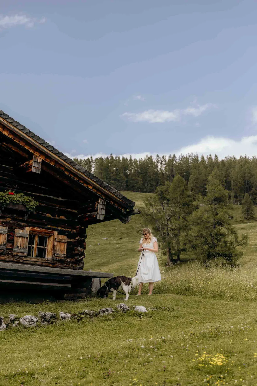 Die Braut steht an der Löckenwaldhütte in Filzmoos und geht mit einem Hund über die grüne Almwiese.